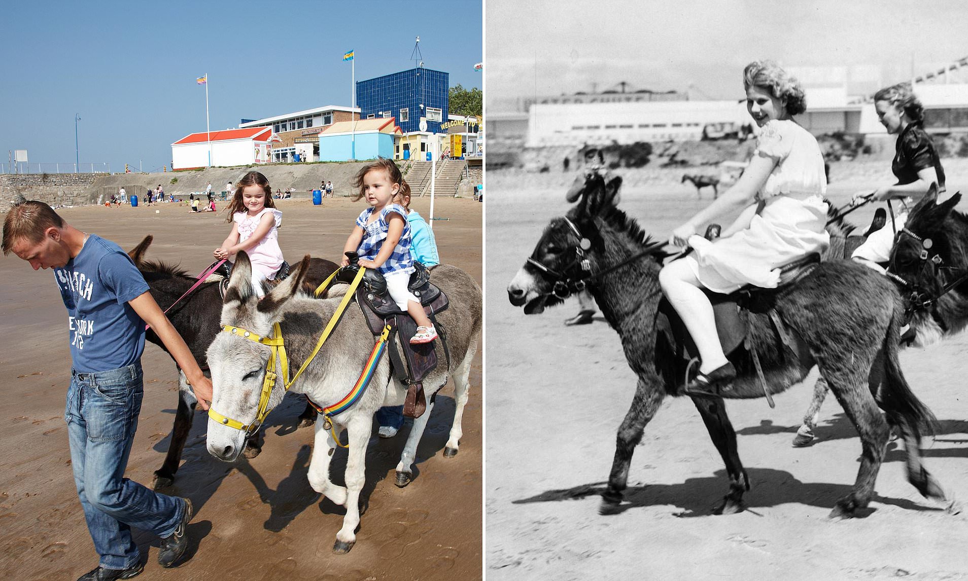 Donkeys banned from seaside resort's beach as council slams door on 100 ...