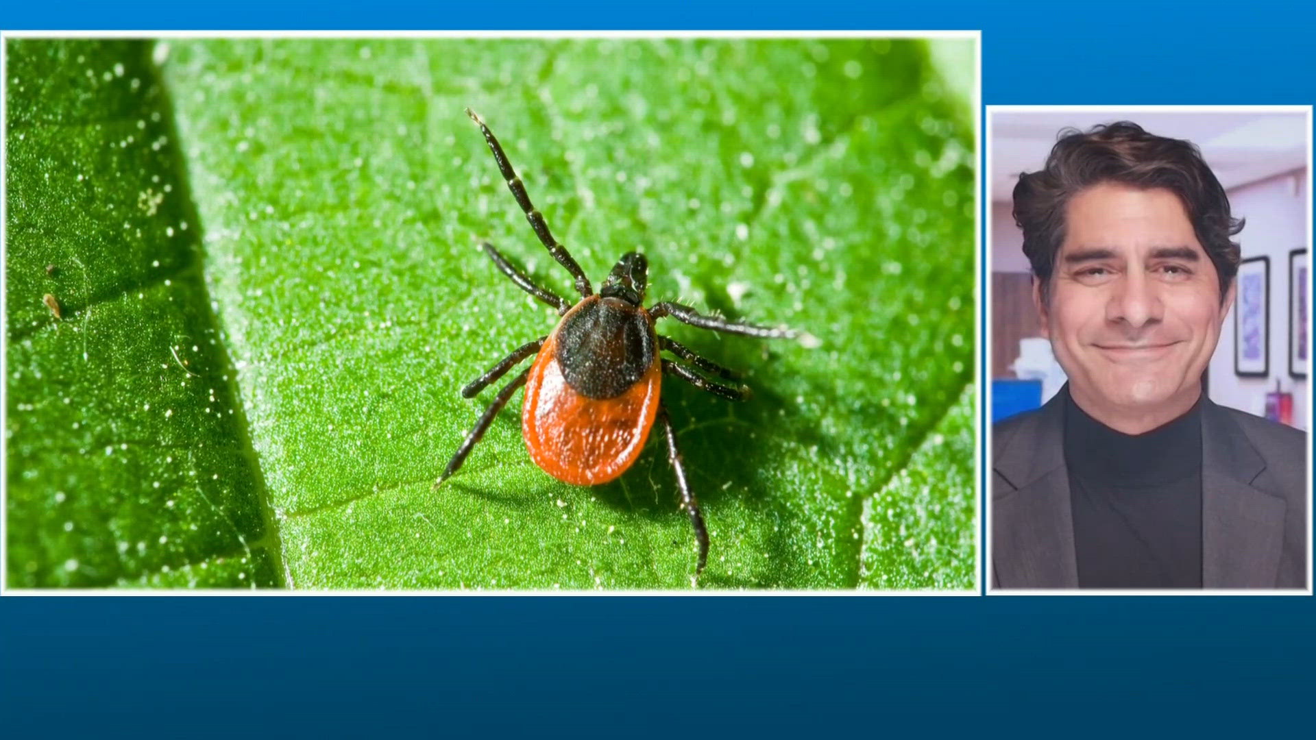 Tick season is already here