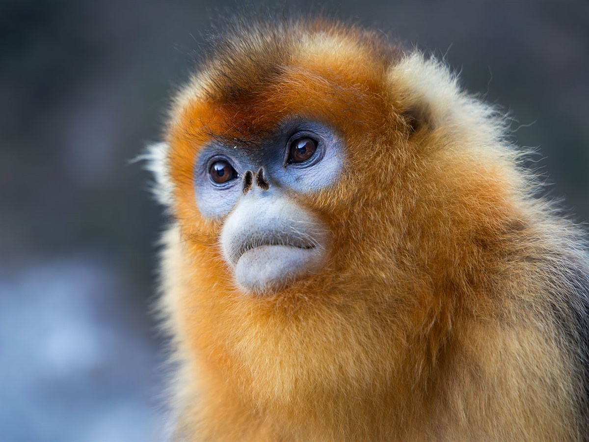https://img-s-msn-com.akamaized.net/tenant/amp/entityid/AA22Pw4Y.img?w=768&h=576&m=4&q=89