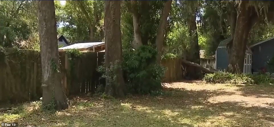 New details emerge after mother and two kids found dead