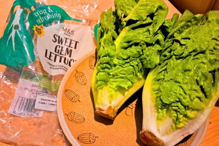 Lettuce stays crisp and fresh two weeks longer with 1 packaging change