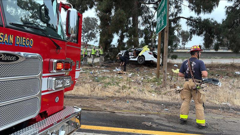 Driver strikes tree in fatal crash along westbound SR-94 near downtown