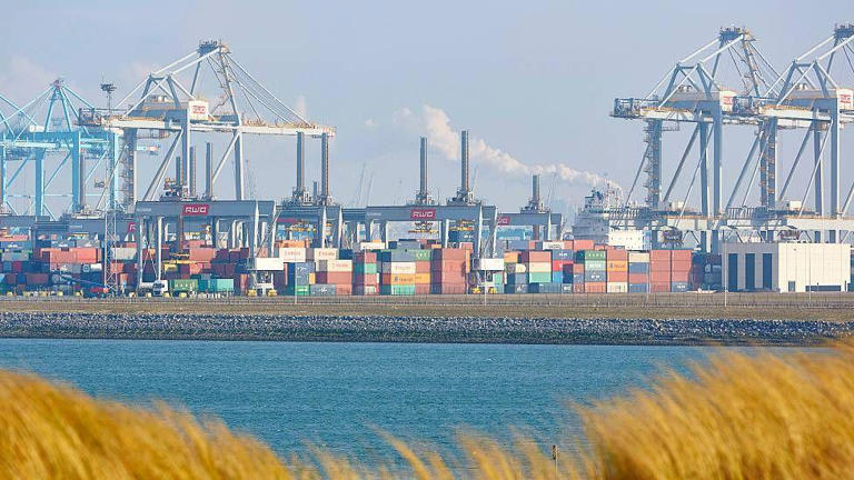 Rotterdam é o maior porto de transbordo da Europa Ocidental para o setor agrícola