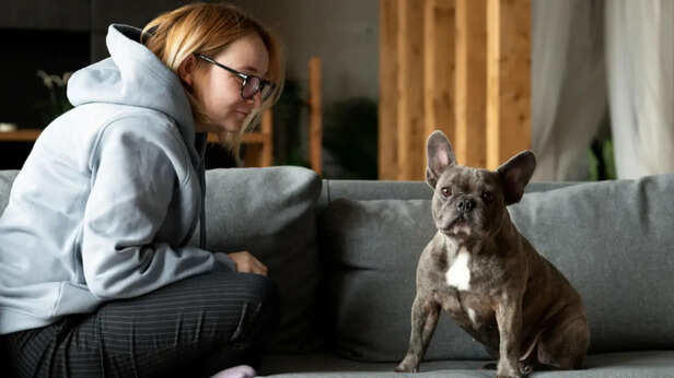 10 pet behaviours that feel mysterious even to scientists