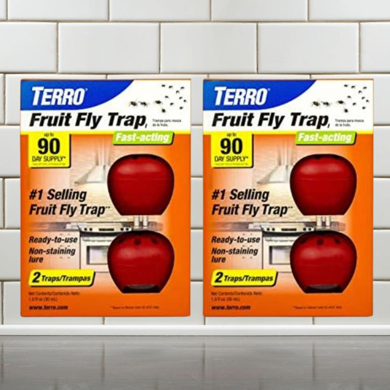 Got fruit flies? These Amazon products can get rid of them.
