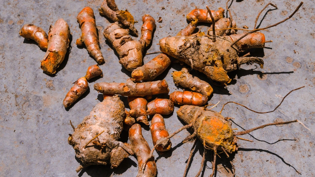Turmeric tips for flavor and wellness