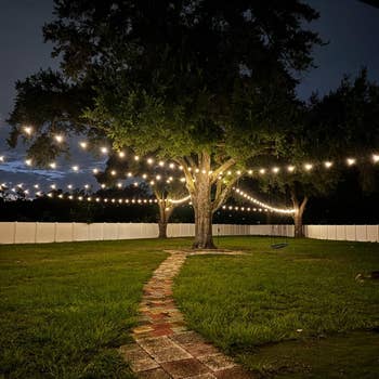 A backyard with string lights hanging between trees, illuminating a walkway. Enclosed by a tall fence, perfect for outdoor gatherings
