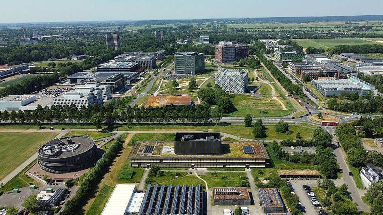 Marcelis afirma que no campus da Wageningen também há departamentos de pesquisa de grandes empresas como Unilever ou FrieslandCampina
