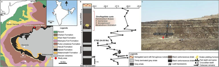 inside-a-mine-in-india-scientists-unearth-15-meter-long-snake-fossil