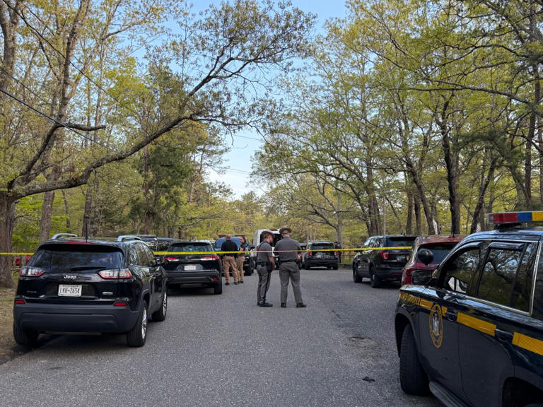 Knife-wielding man shot and killed by police on Long Island: PD