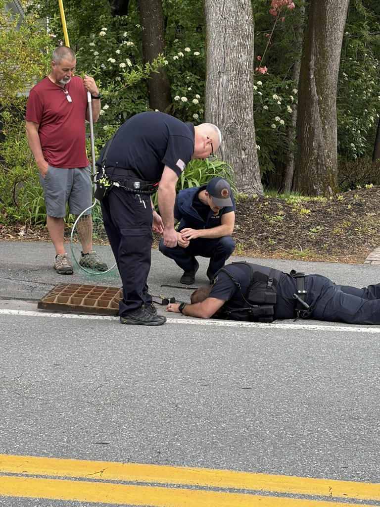 First responders make 'duck-tastic' rescue, saving baby ducklings from ...