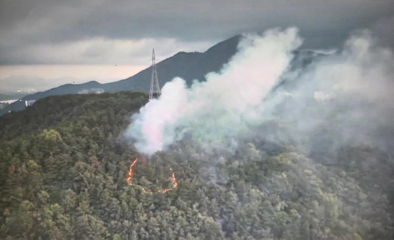 Dongmaesan Mountain wildfire extinguished after four hours