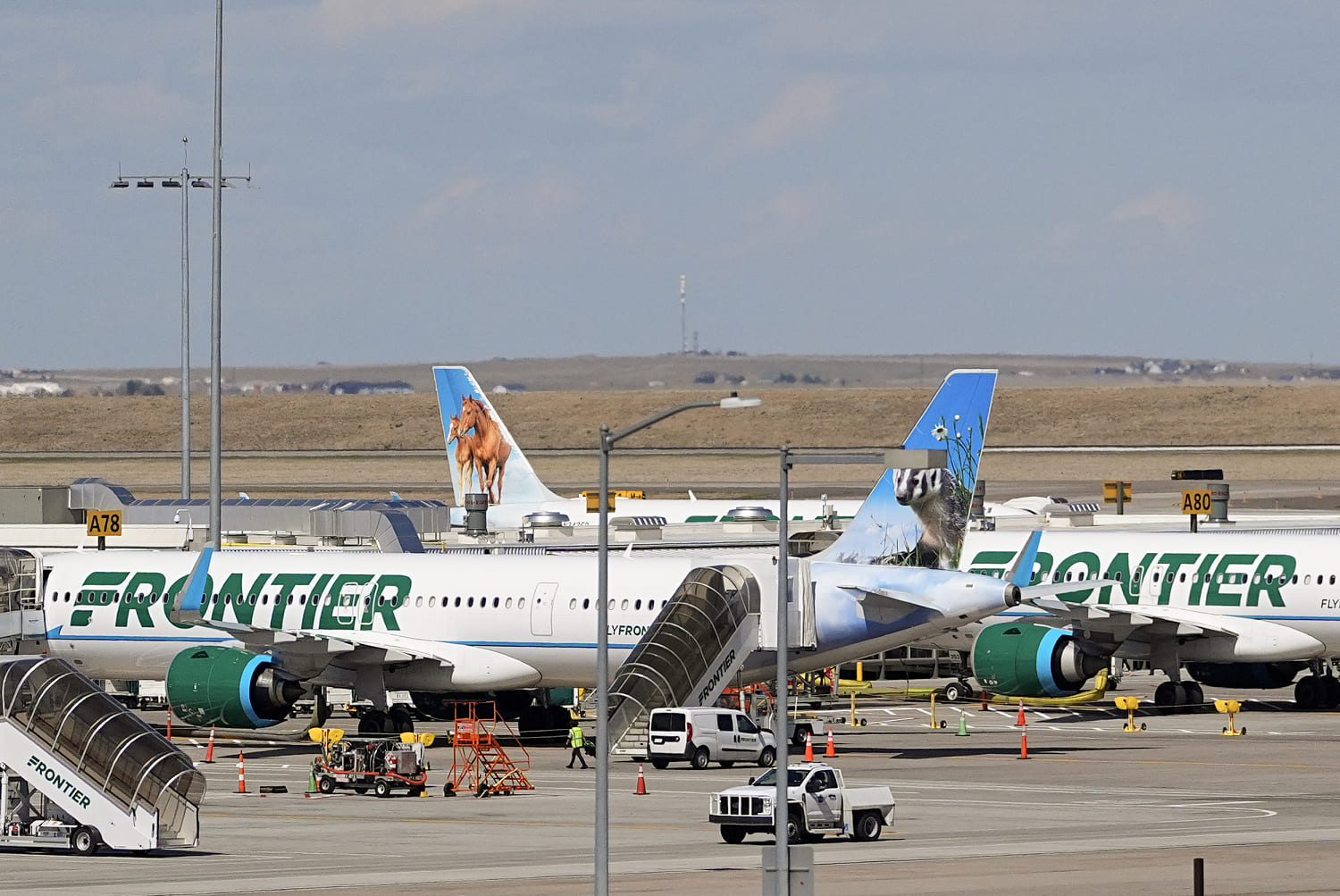Several Frontier Airlines jets on a tarmac.