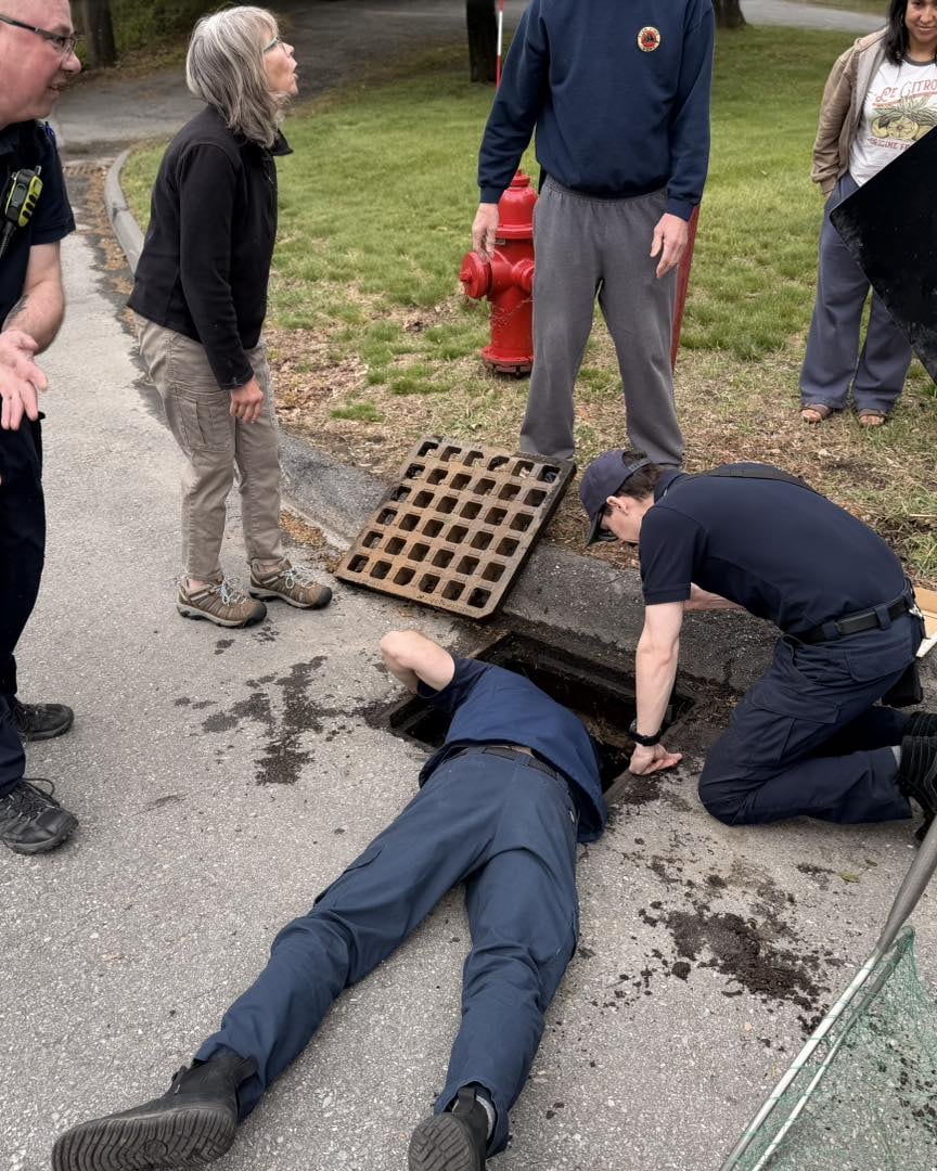 First responders make 'duck-tastic' rescue, saving baby ducklings from ...