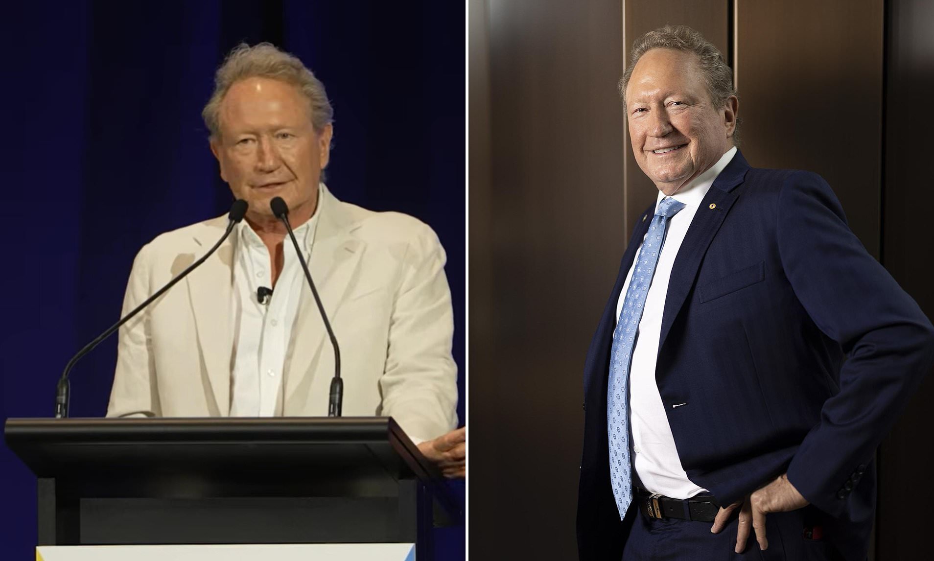 Andrew 'Twiggy' Forrest demands Anthony Albanese slash tax break