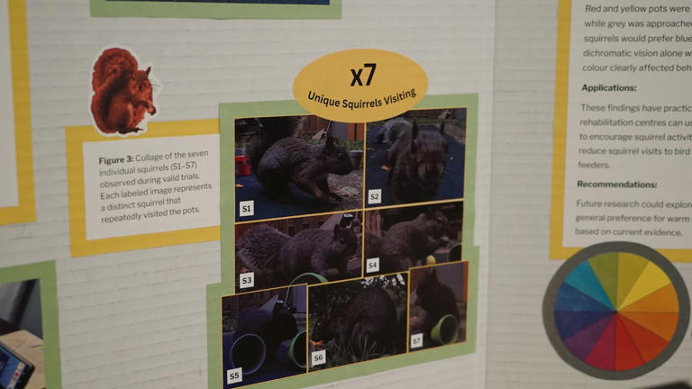 Guelph, Ont., student's squirrel obsession earns her spot at Canada ...