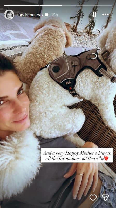 Sandra Bullock says 'sorry' to her mom for being 'a brat,' says 'we are ...
