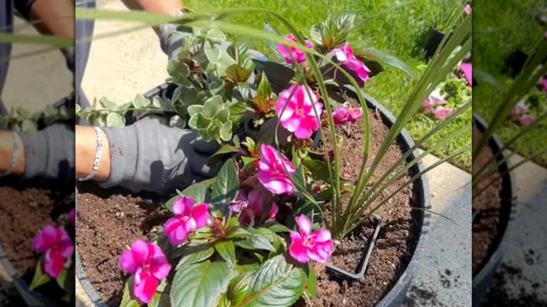 Easily arrange flowers in large planters with a nursery pot tip