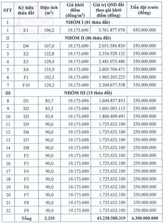 Đấu giá 22 thửa đất ven đê tại Hà Nội, giá khởi điểm hơn 19 triệu đồng/m2