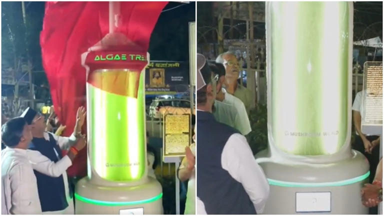 Bhopal introduces futuristic 'algae tree' to fight pollution