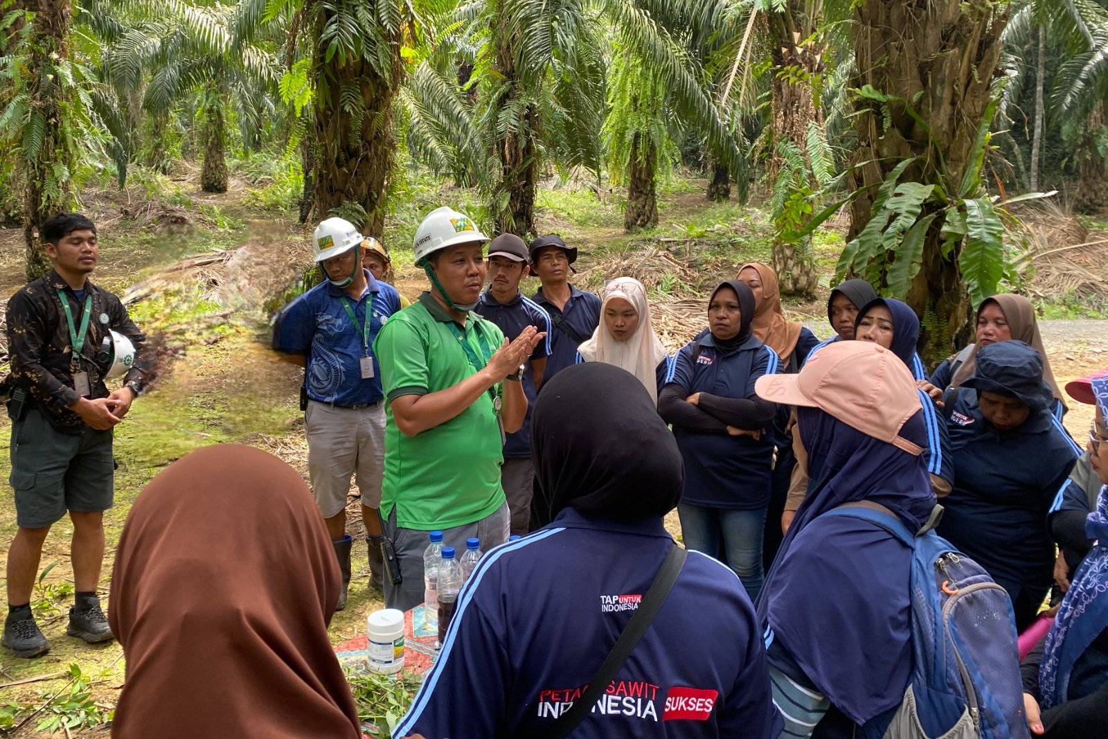 Strategi Triputra Agro Tingkatkan Produksi Kelapa Sawit untuk Wujudkan B50
