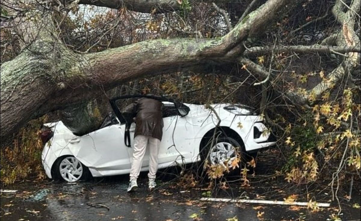 Pictures: Wild Cape storm leaves damage in its wake