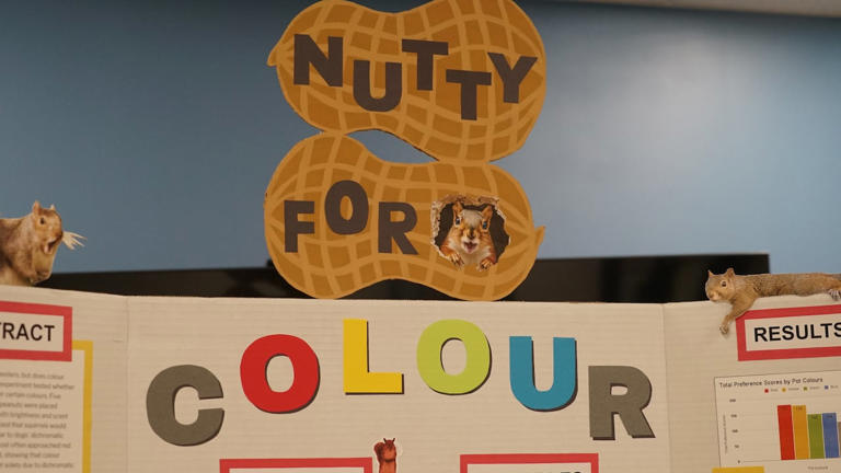 Guelph, Ont., student's squirrel obsession earns her spot at Canada ...