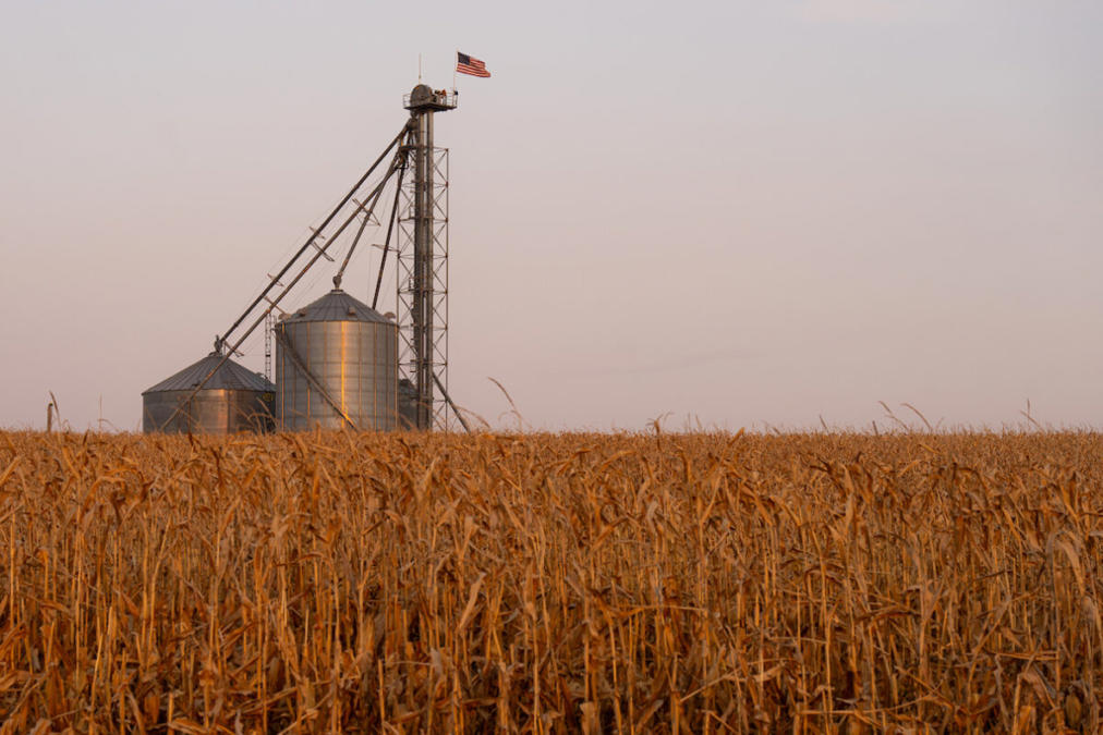A grain bin stands in a corn field in Marne, Iowa. (Bill Clark/CQ Roll Call)