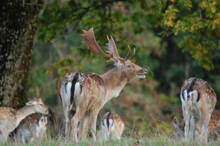 “One of the most vibrant and biodiverse places in Northern Ireland ...