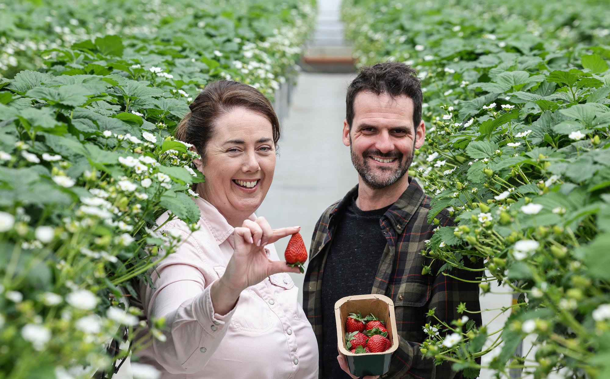 M&S partnering with a Co. Armagh grower to bring locally grown ...