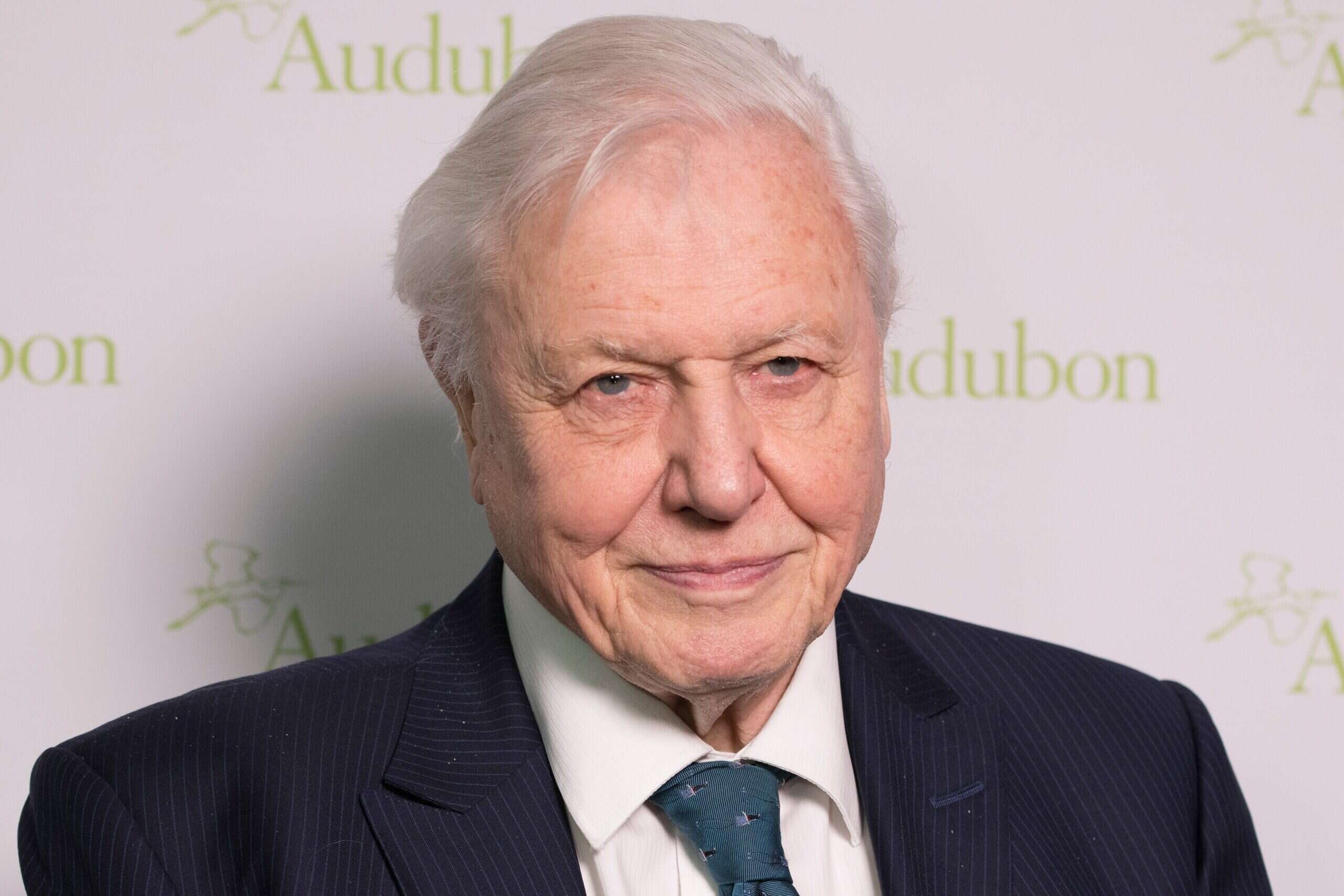 David Attenborough at 100: The hotels and safaris shaped by his legacy