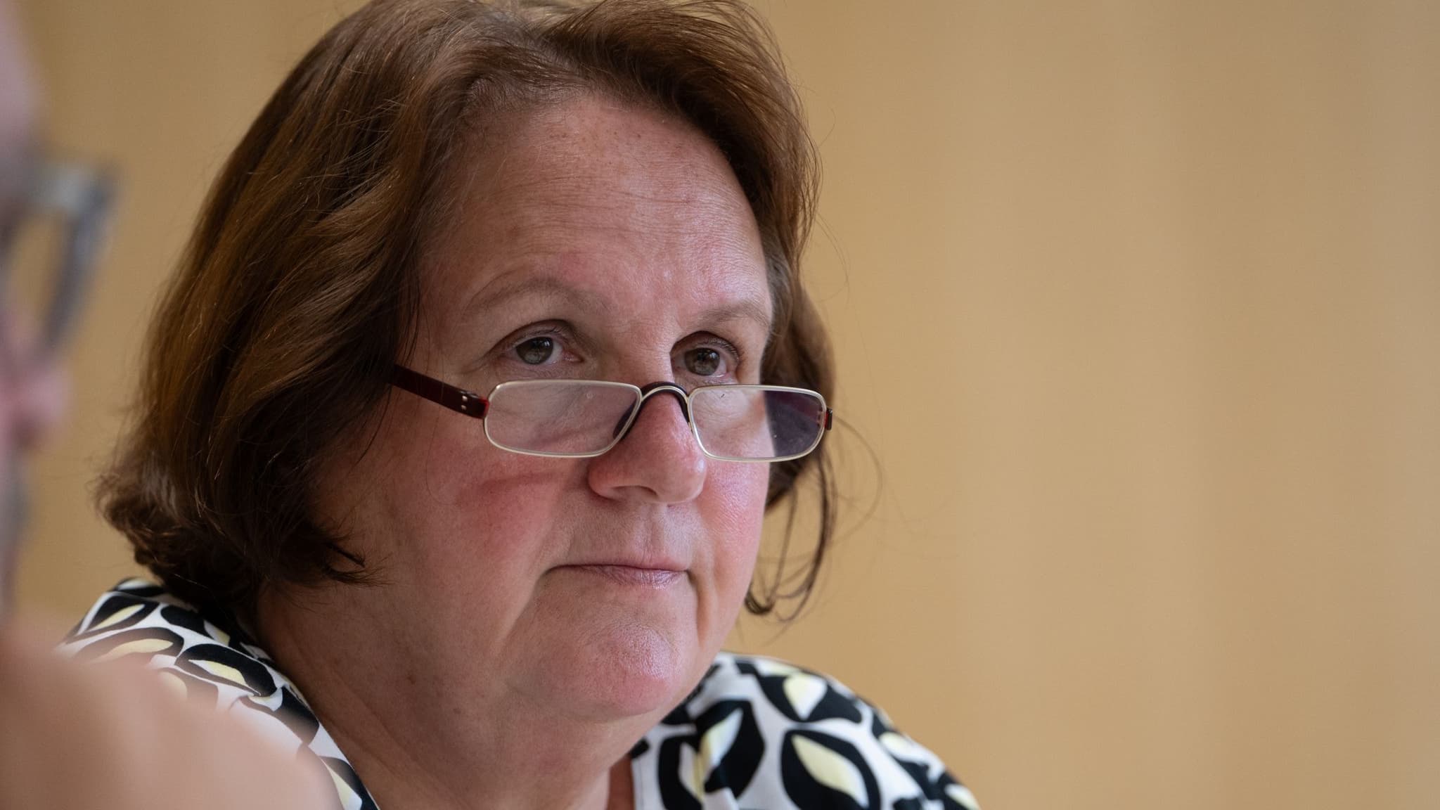 Neue Landesregierung in BW: Kreise: Theresa Schopper wird neue ...