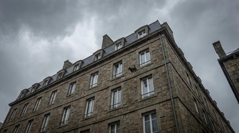 ils-adoptent-un-chien-sur-internet-quelques-heures-plus-tard-ils-le