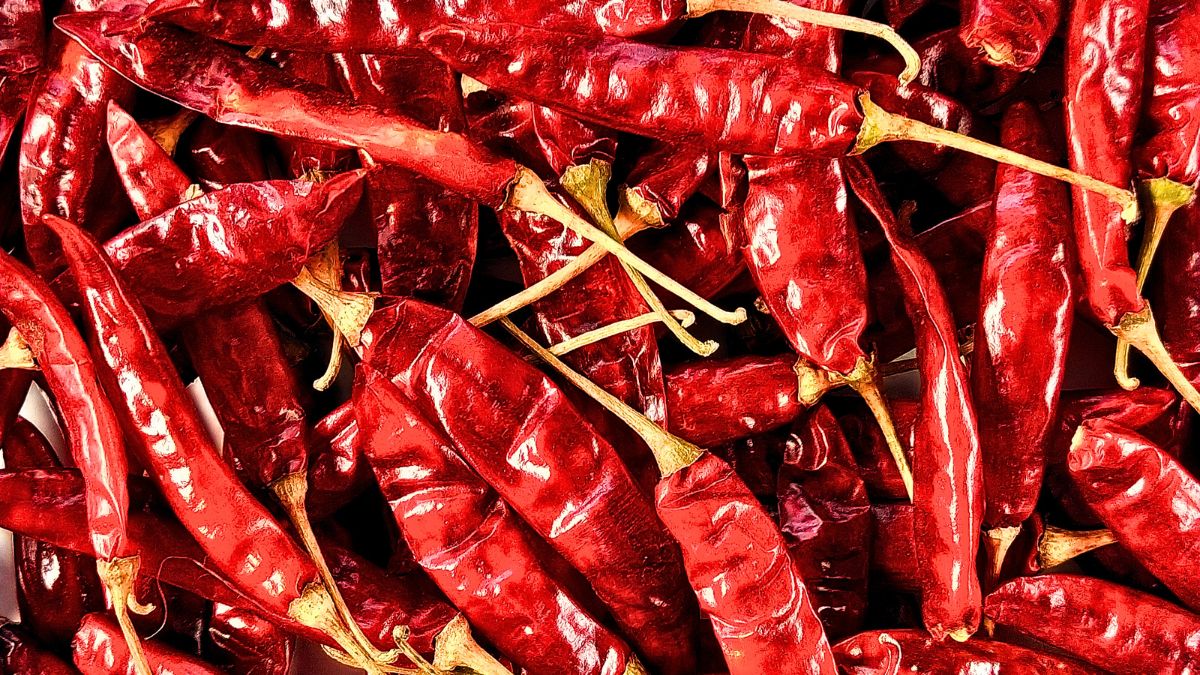 Which city is known as the chilli capital of India?