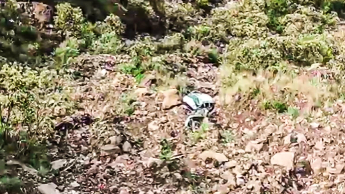6 Gujarat tourists killed after SUV plunges into gorge in Himachal amid ...