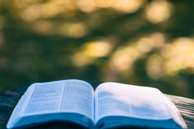Essex primary schools invited to enter national reading competition