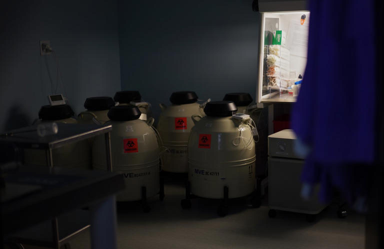 A Christian IVF doctor upended his life and found a new way to practice