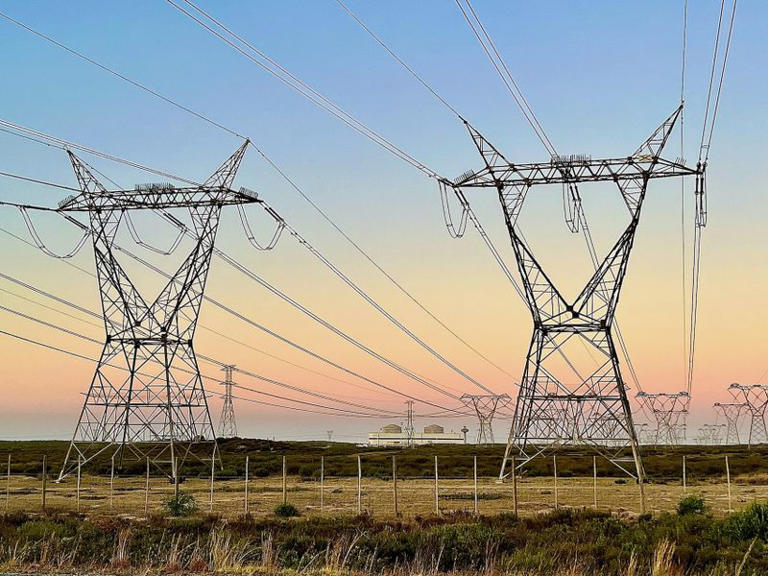 Public gets 3 more weeks to comment on Eskom nuclear site, but critics ...