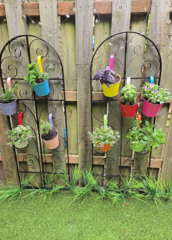 the rainbow pots on two trellises