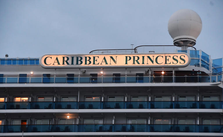 Princess Cruises ship docks at Port Canaveral after norovirus outbreak