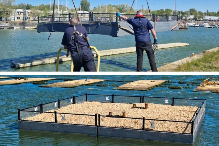 'Fantastic boost for biodiversity': Preston City Council install ...