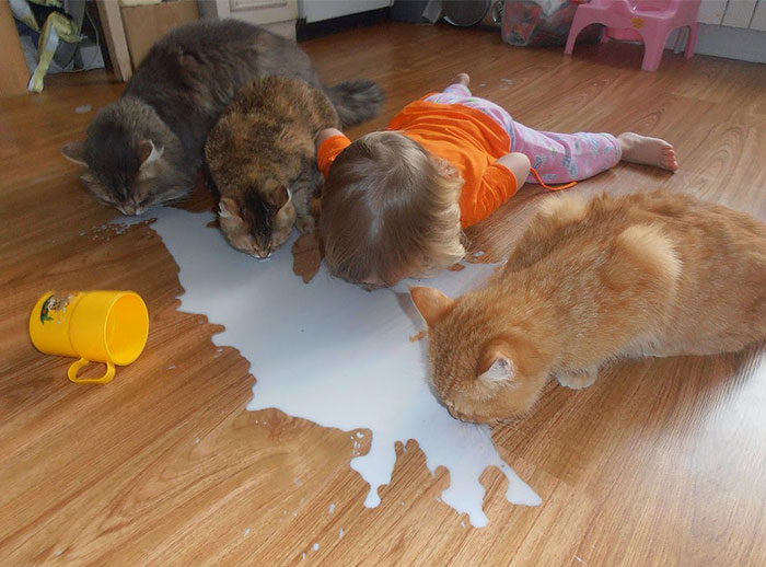 43 kids that think they’re animals