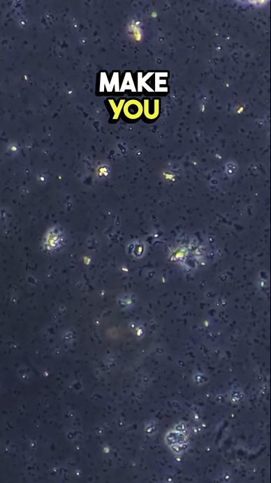 Dog’s water bowl under the microscope: You won’t believe what’s living ...