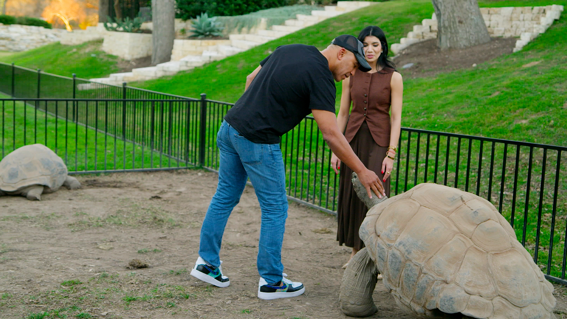 Wall Street Journal taps Bill Perkins' tortoises for fast video boost