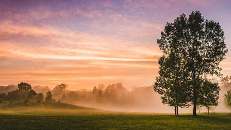 Between Indianapolis and Fishers is Indiana's lush state park with ...