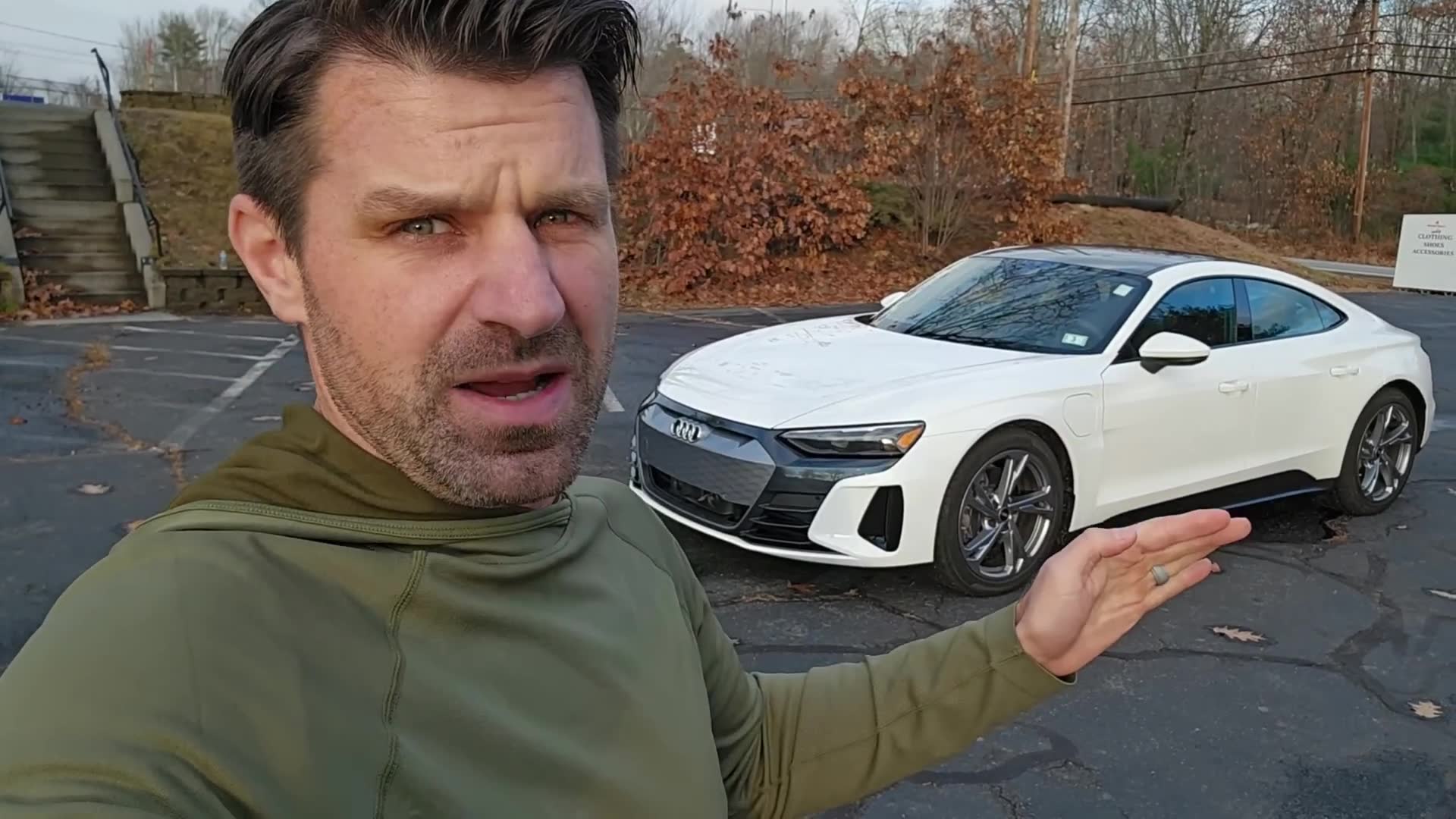 Electric vehicle market collapse and government failures