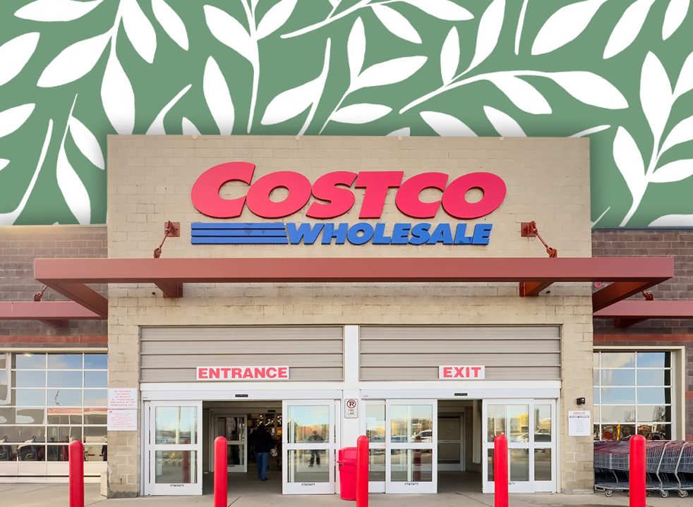 11 best new Costco patio finds hitting shelves this week