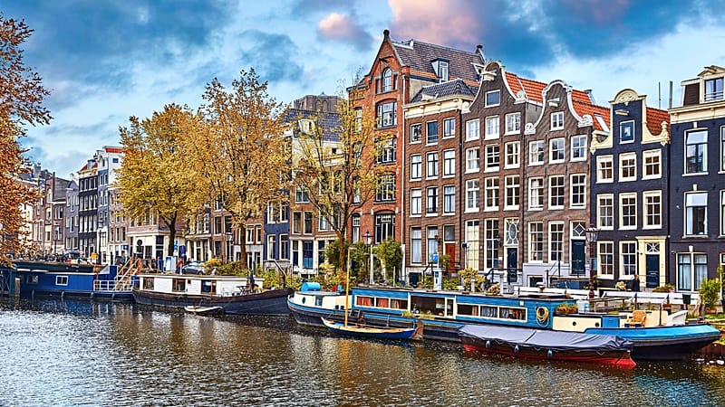 Has Amsterdam banned meat adverts to avoid offending Muslims?