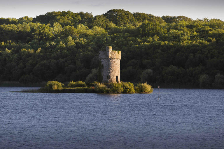 “One of the most vibrant and biodiverse places in Northern Ireland ...