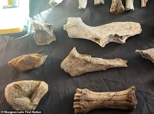 Prehistoric discovery in North America older than Egypt's Great Pyramid ...
